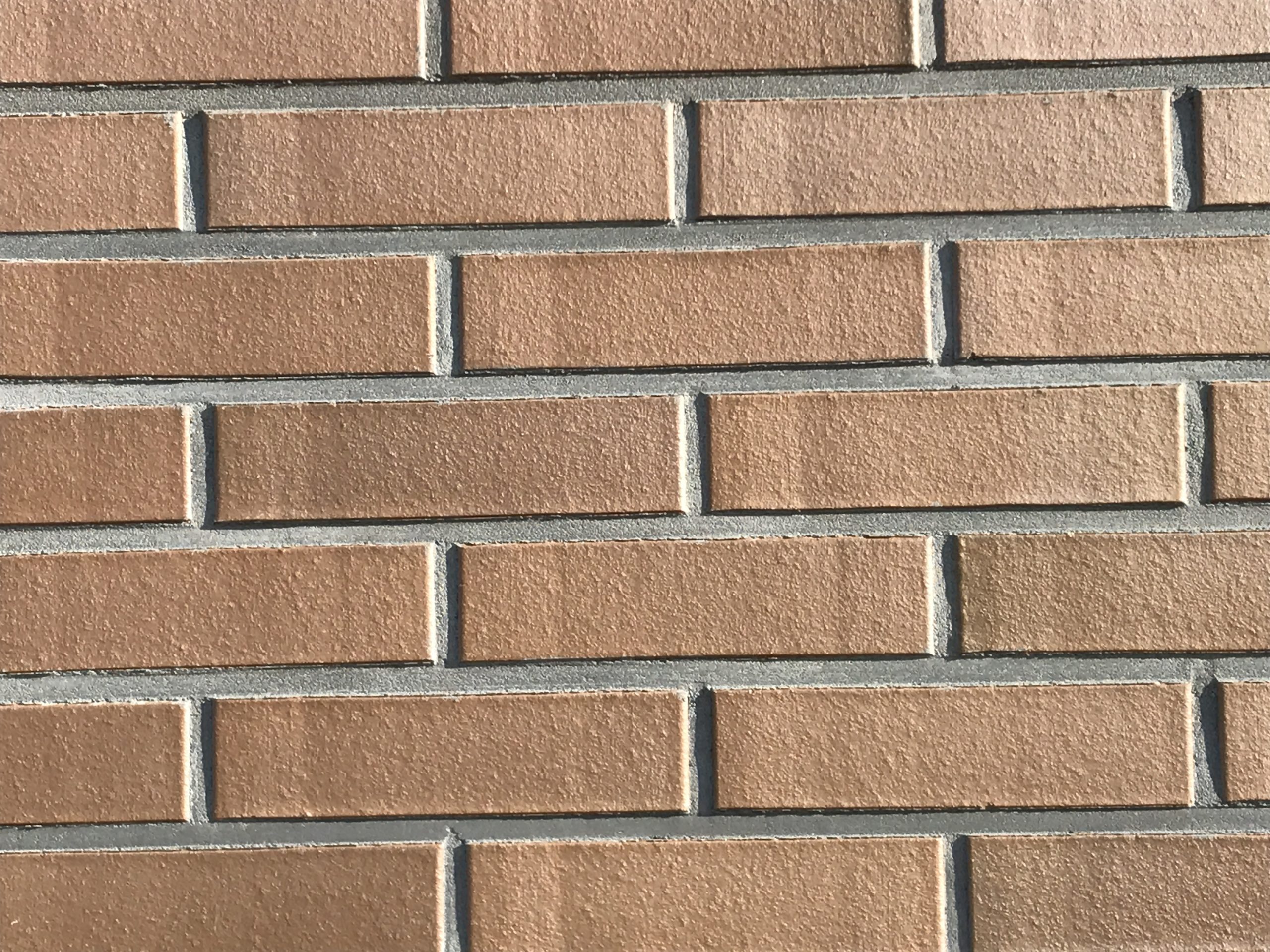 img 0521